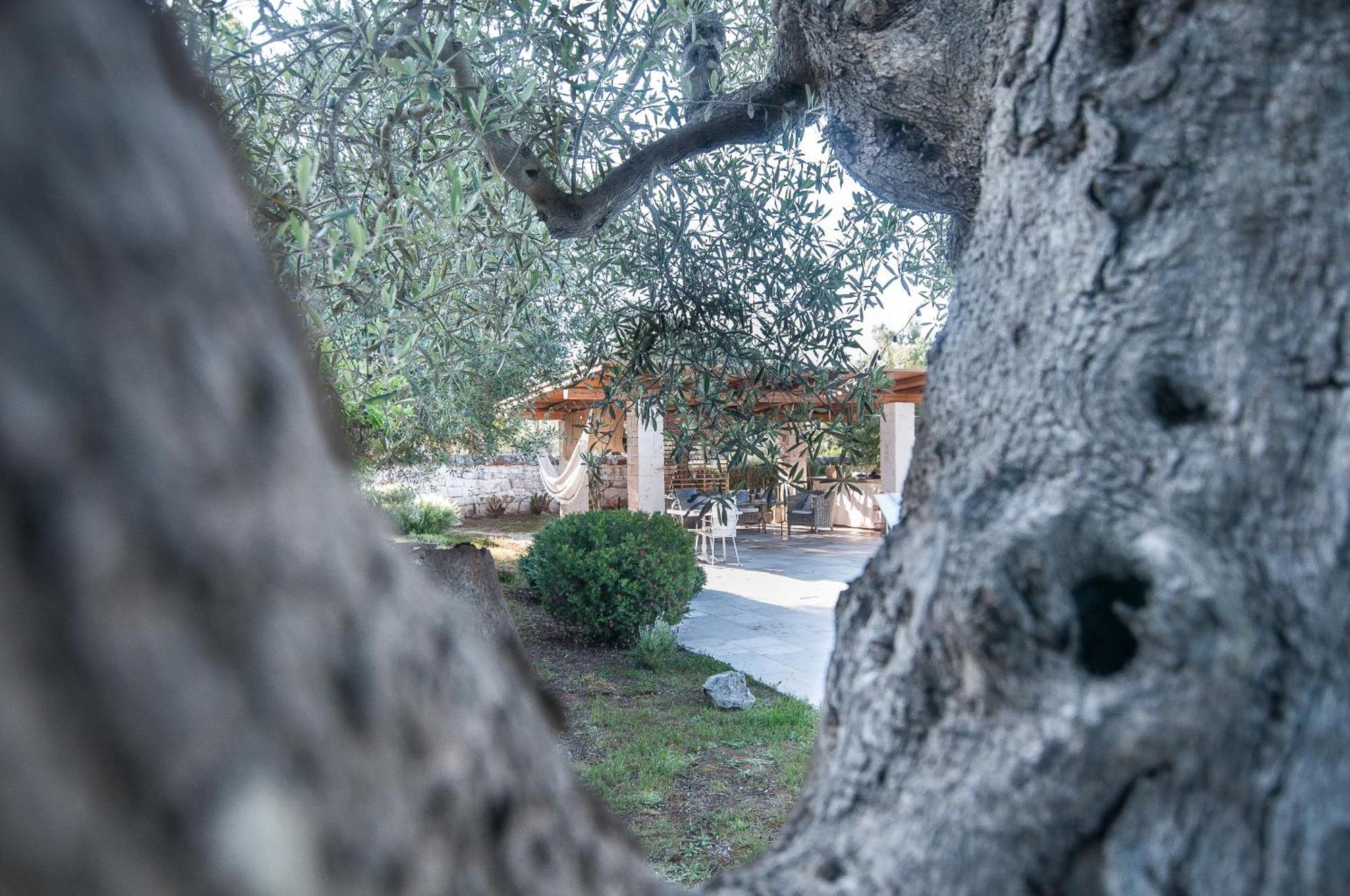 Villa Il Trullo Di Ben Locorotondo Exterior foto